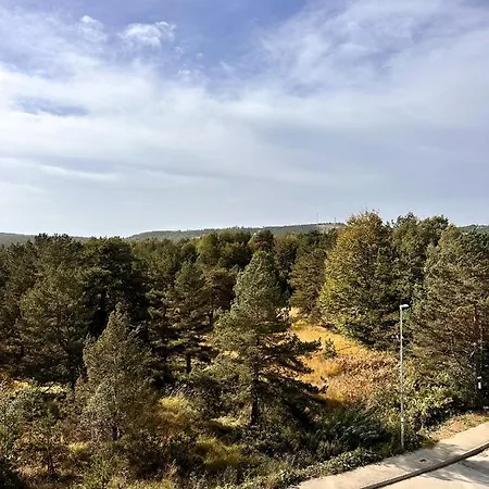 Daire Zlatni Borovi *