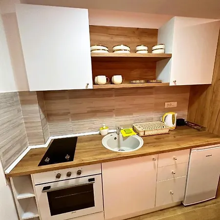 Zlatni Borovi Apartment *