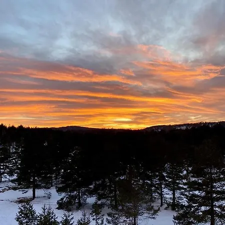 Zlatni Borovi Apartmán